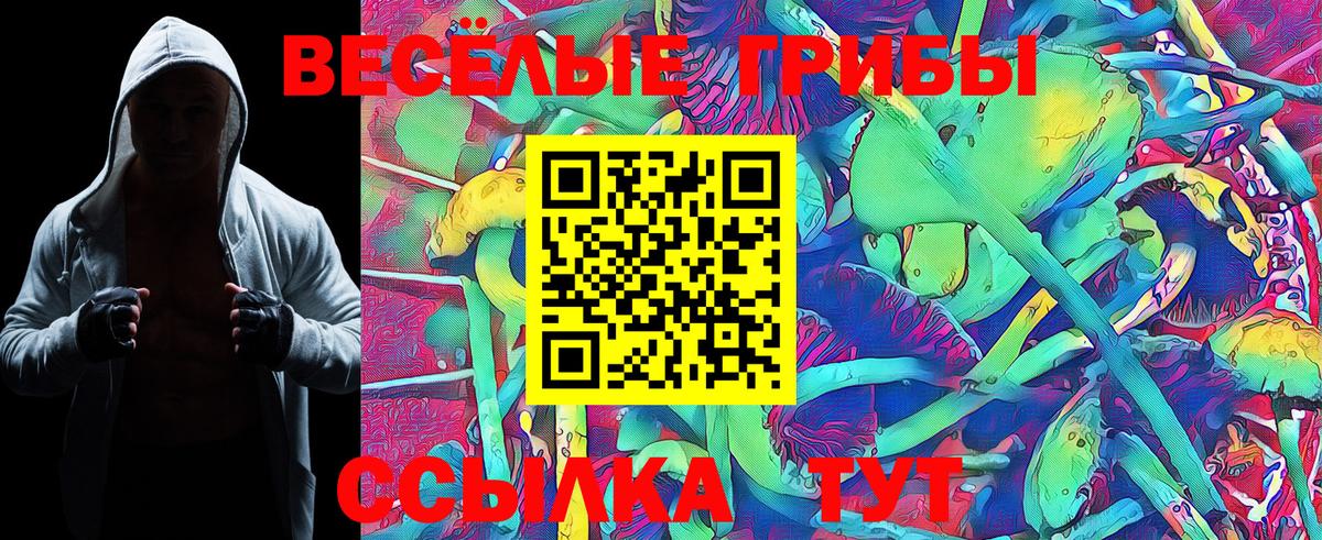 Тейково  Галлюциногенные грибы Magic Shrooms  Вход с VPN 